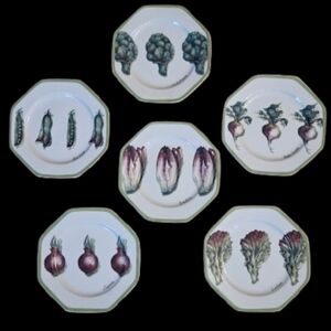 *NWOT William Sonoma Vegetable Garden Salad Plates Set Of 6